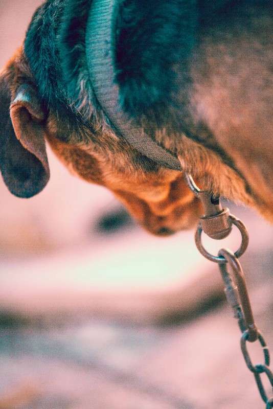 ���� ����� ������  �� PhotoGeek.ru #�������� ���