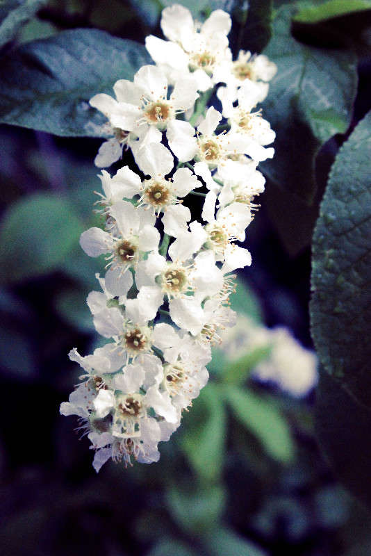 ����� ����� �����  ������� �� PhotoGeek.ru #����� #������ ��� �������