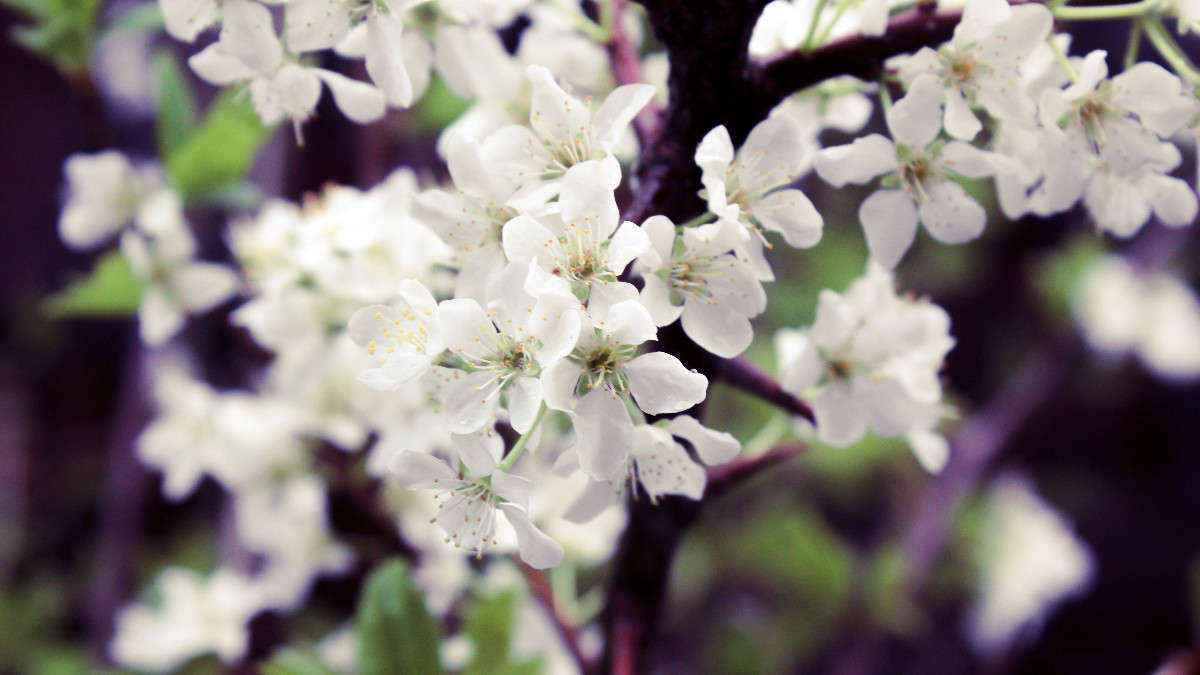 ����� ����� �����  ������� �� PhotoGeek.ru #����� #������ ��� �������