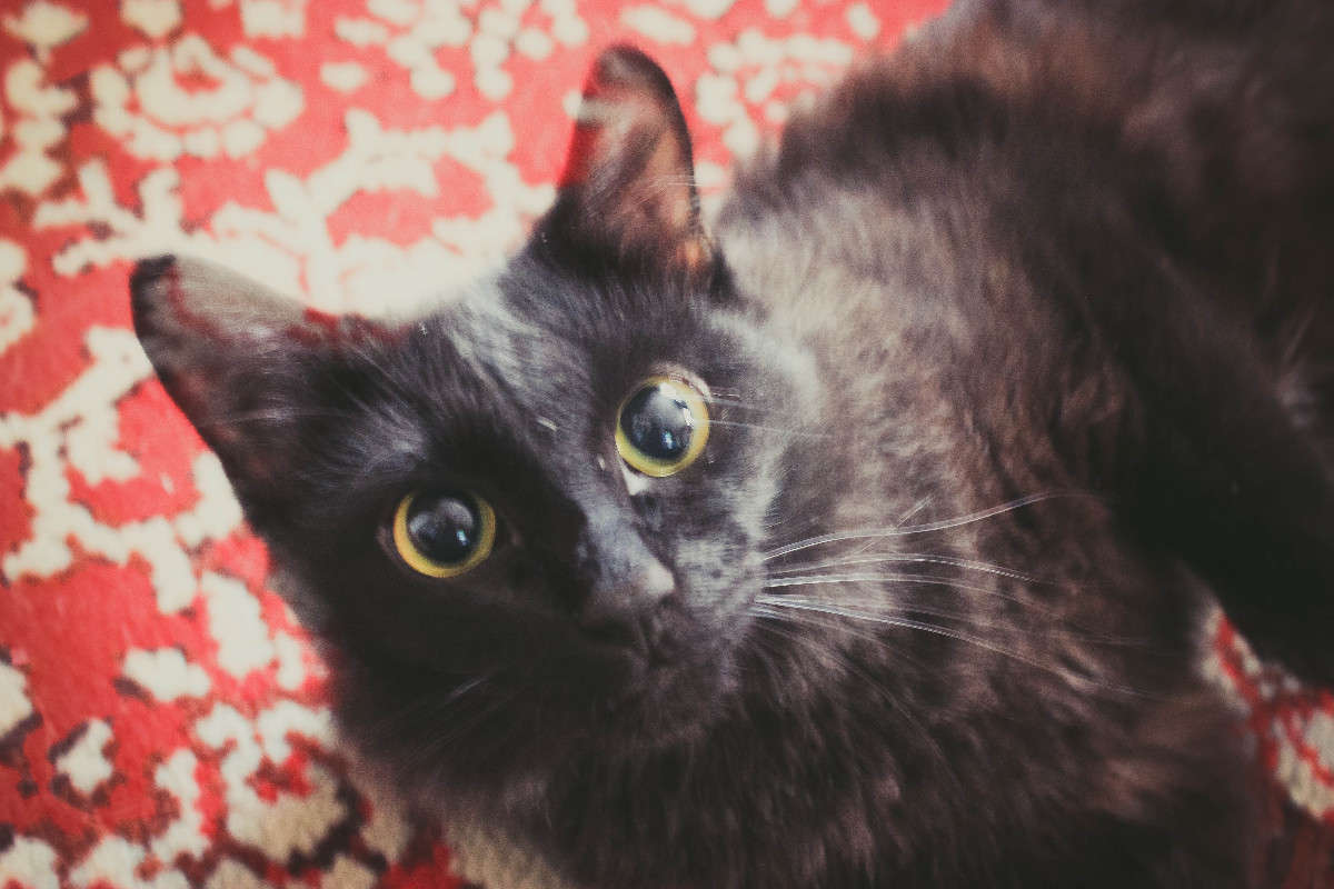 ���������... ����� �����  ������� �� PhotoGeek.ru #�������