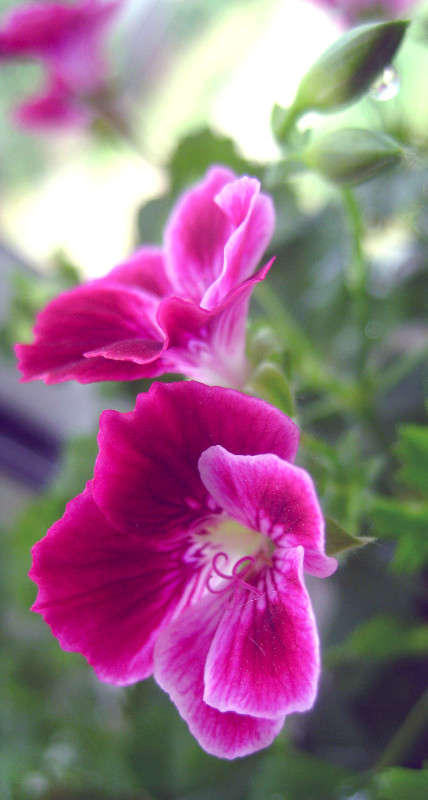 �������� ����� �����  ������� �� PhotoGeek.ru #����� #������ ��� �������