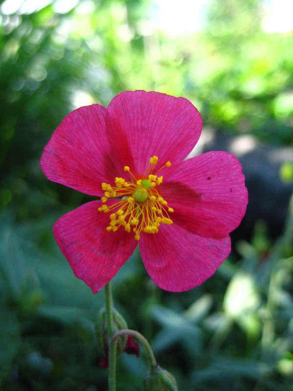 �������� ����� �����  ������� �� PhotoGeek.ru #����� #������ ��� �������