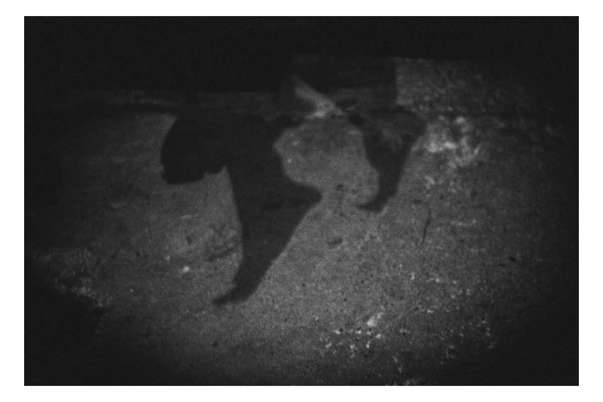 ���� ����� ����� �����  ������� �� PhotoGeek.ru #�������� ���������� #�����-�����