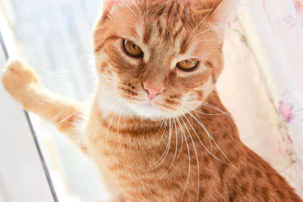 �� ����� �����  ������� �� PhotoGeek.ru #�������� ��� #�������