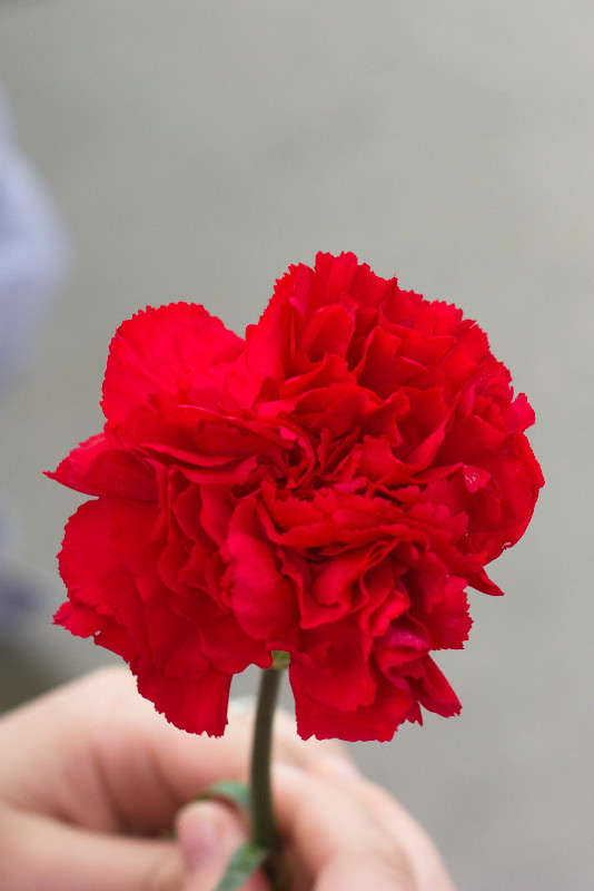 �������� ����� �����  ������� �� PhotoGeek.ru #�����