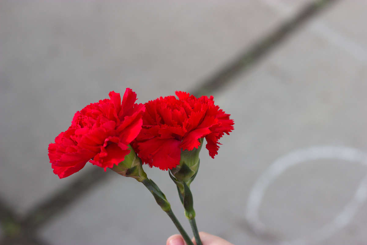 �������� ����� �����  ������� �� PhotoGeek.ru #����� #��������