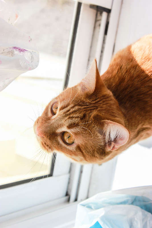 �� ����� �����  ������� �� PhotoGeek.ru #�������