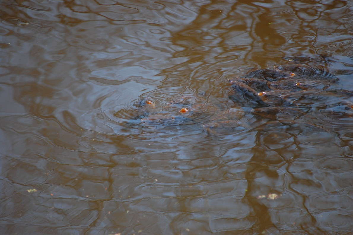 ... ����� ���� ��������� �� PhotoGeek.ru #�������� ���