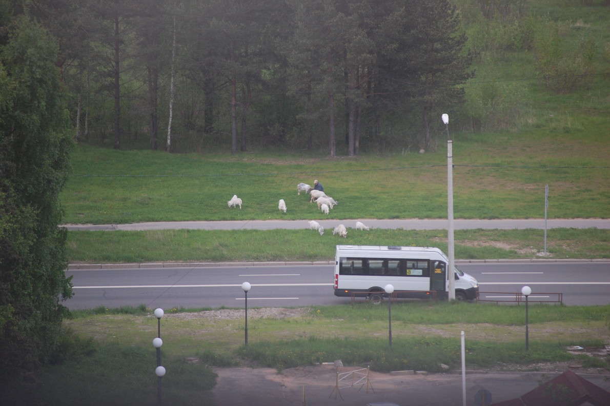 ������������ ������ ��������� ������ � ������ ����� ����� ������������ ����� ���� ��������� �� PhotoGeek.ru #������ ��� ������� #������