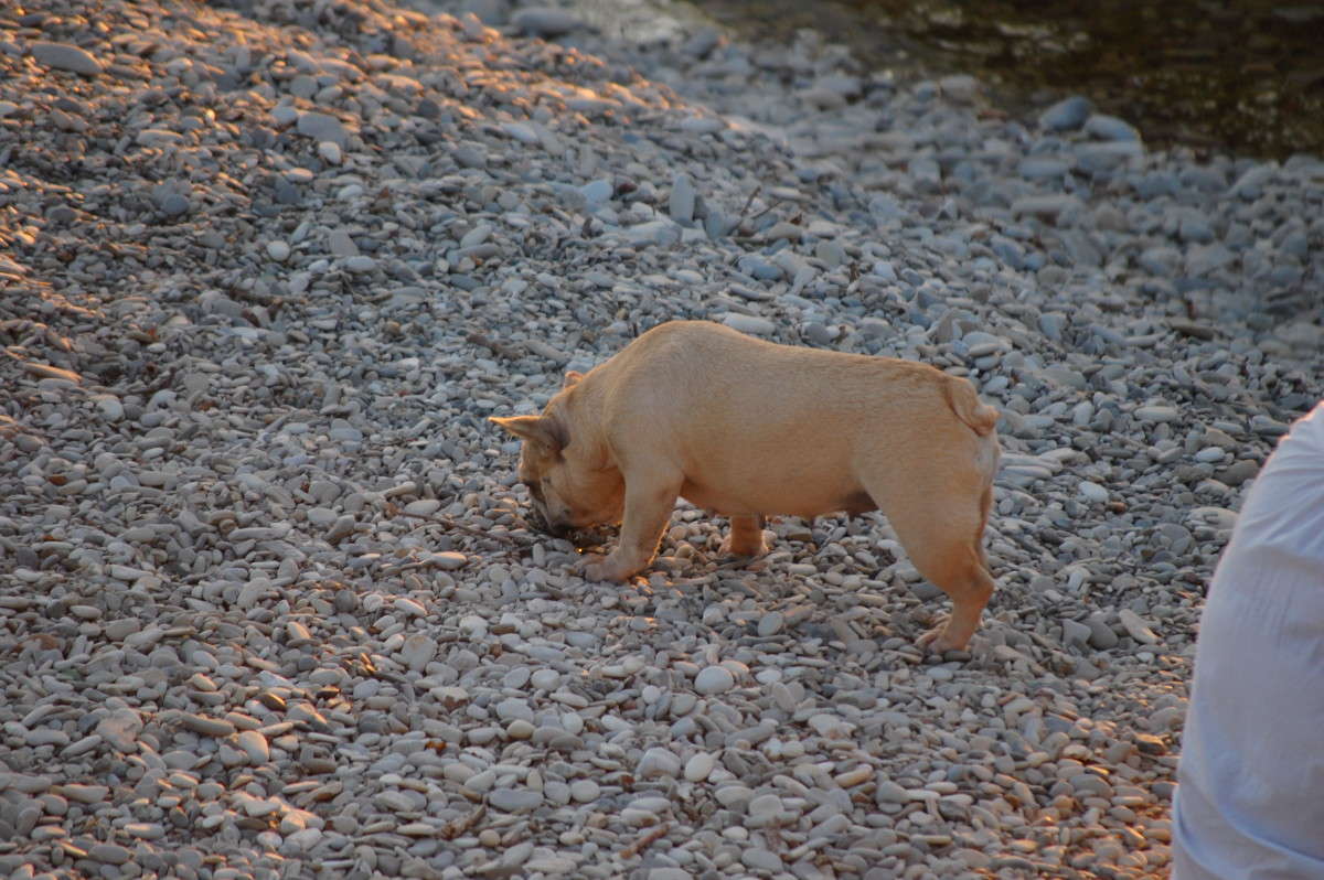 ... ����� ���� ��������� �� PhotoGeek.ru #�������� ���