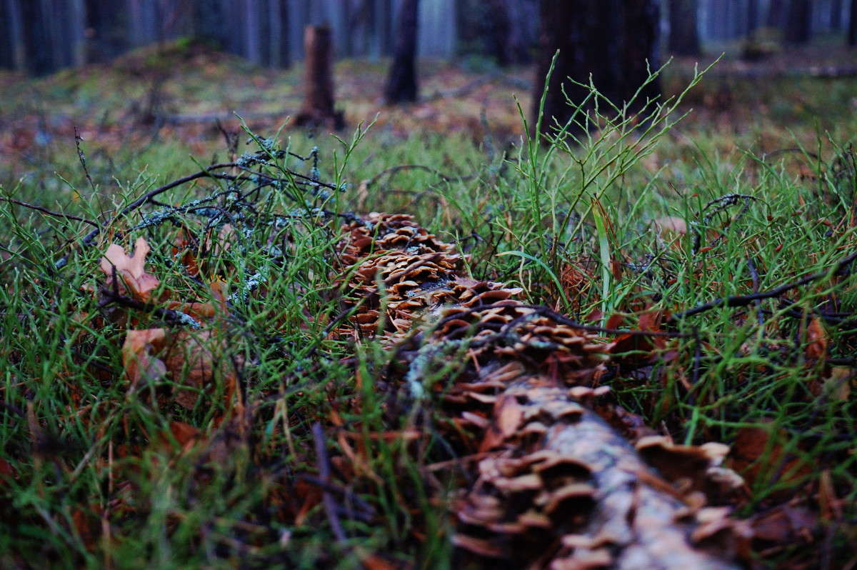 ... ����� ���� ��������� �� PhotoGeek.ru #������ ��� �������