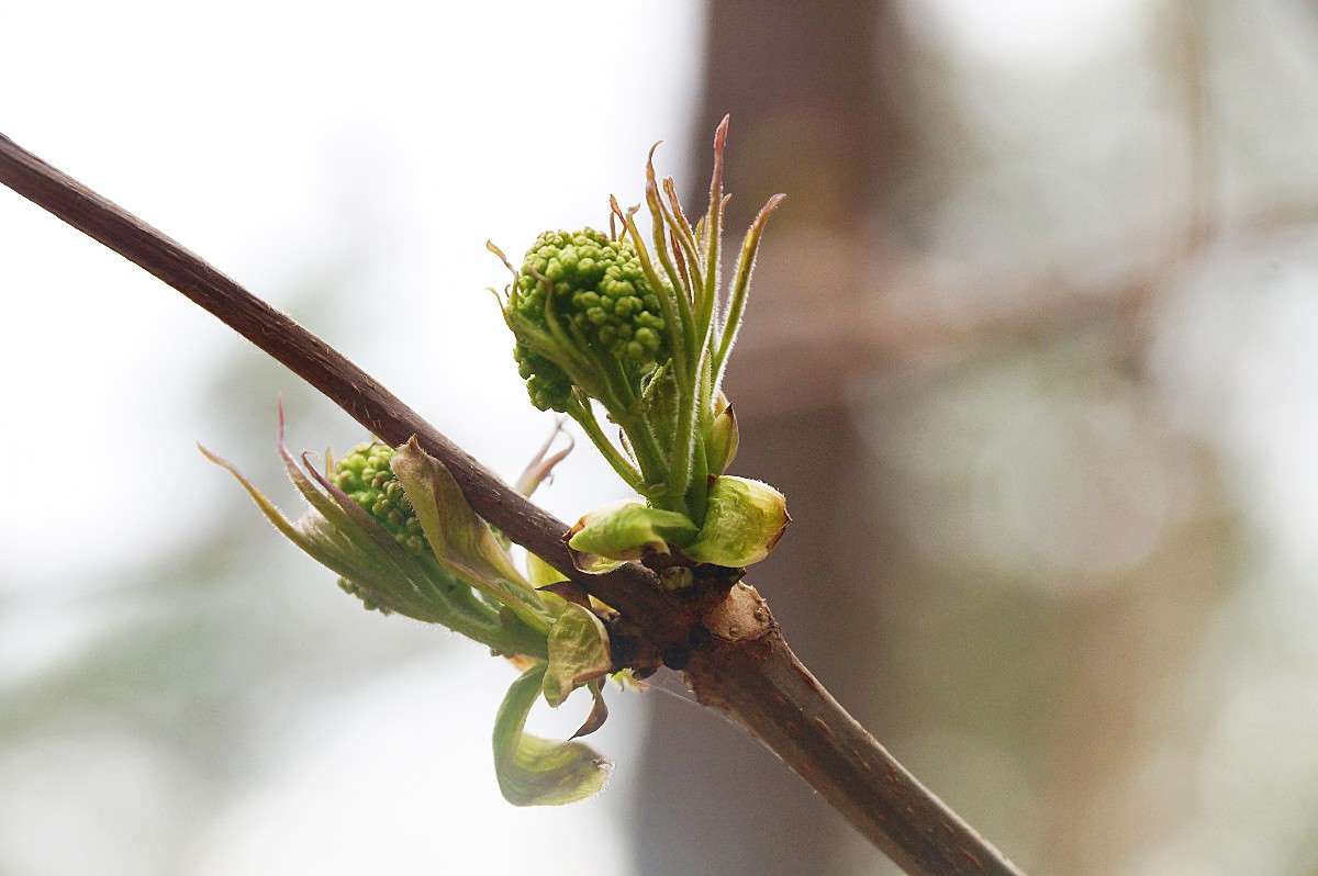 ����� ����� ���� �������� �� PhotoGeek.ru #������ ��� ������� #����� ��������������