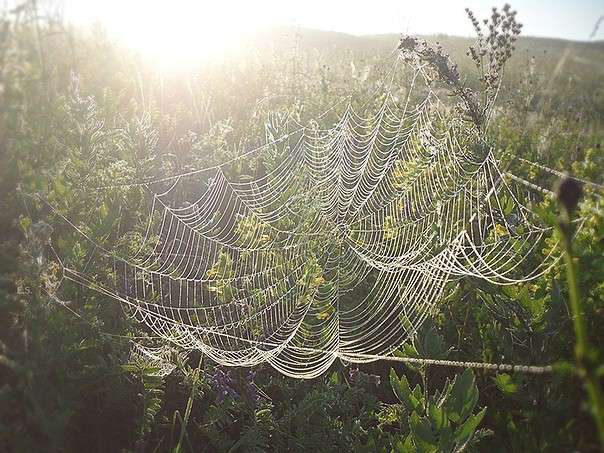 ����� ������ ����� ���� �������� �� PhotoGeek.ru #�����