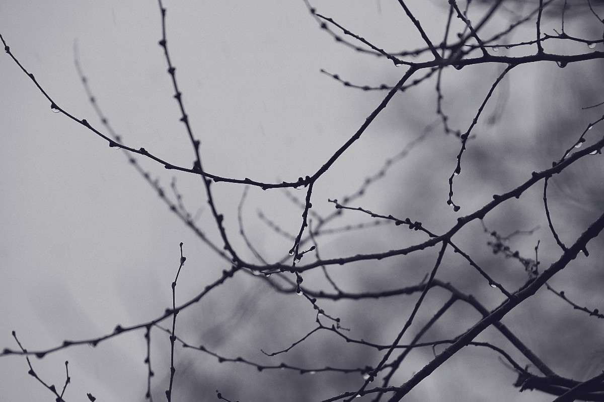 ���������� ����� ����� ���� �������� �� PhotoGeek.ru #������ ��� ������� #����� ��������������