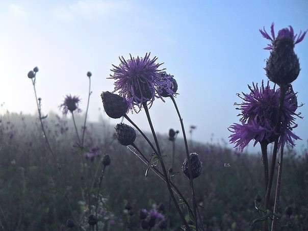 ... ����� ���� �������� �� PhotoGeek.ru #������ ��� ������� #����� ��������������