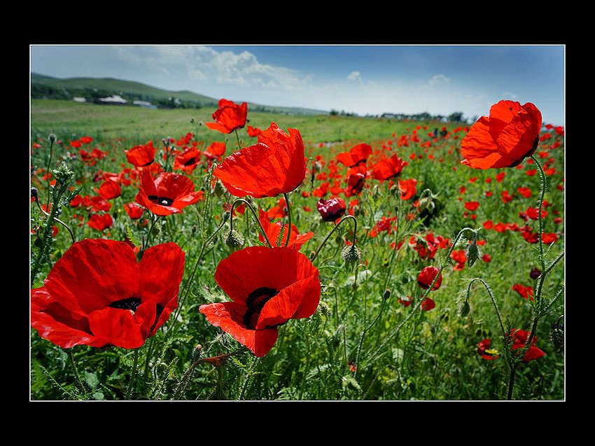 ... ����� Ernest  �� PhotoGeek.ru #������ ��� �������