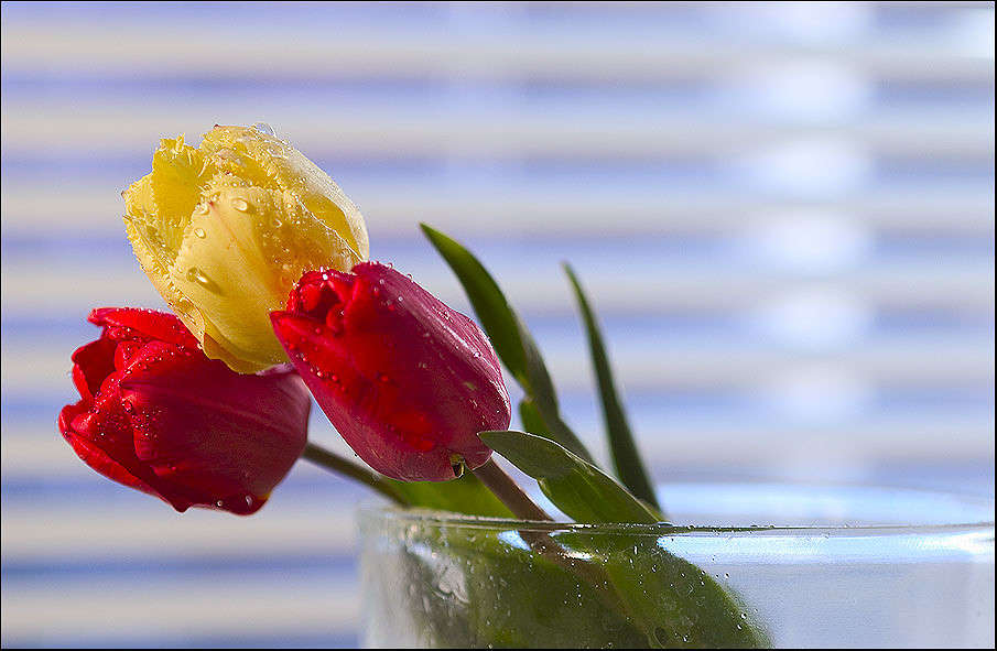 ... ����� Ernest  �� PhotoGeek.ru #���������