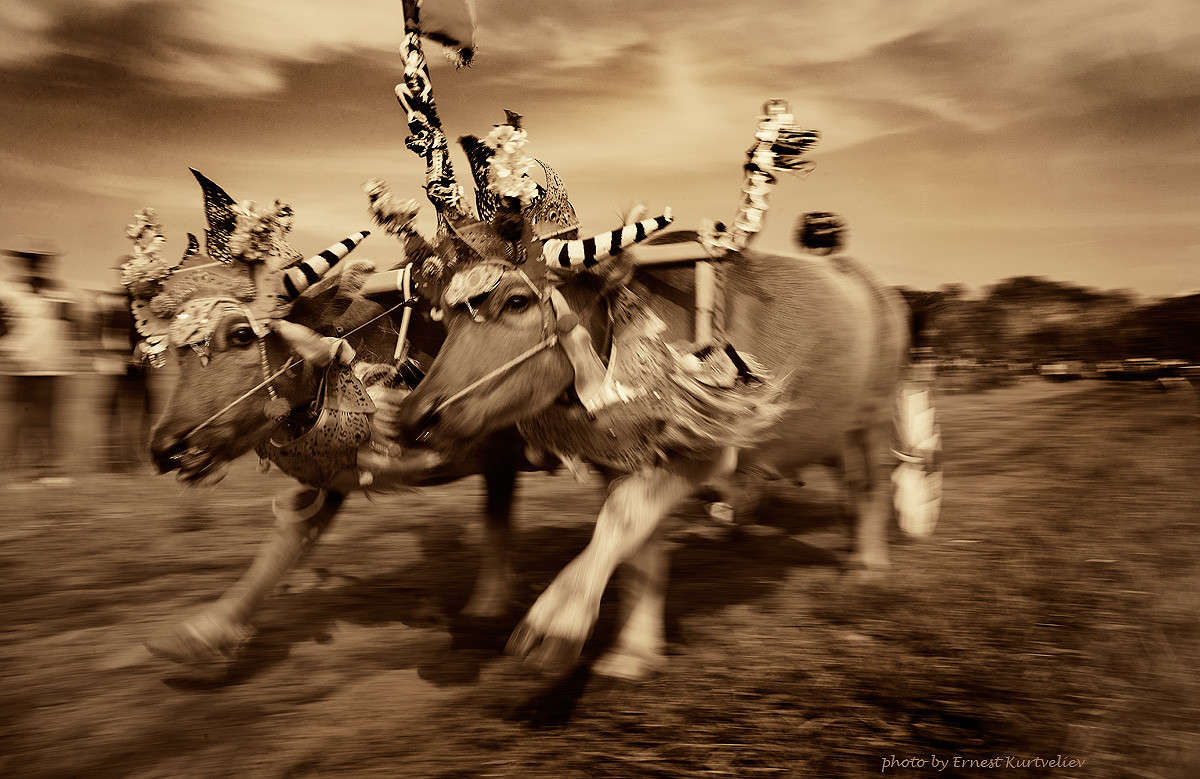 ����� ����� Ernest  �� PhotoGeek.ru #��������