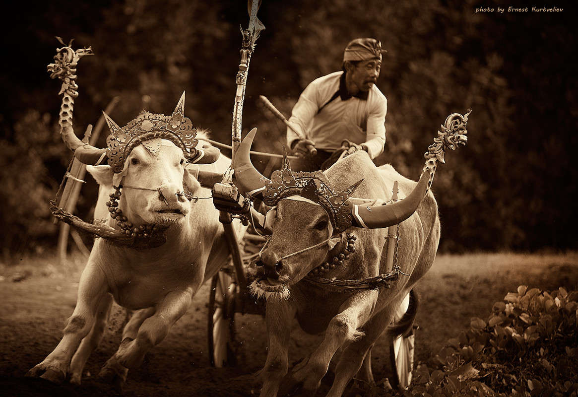 ����� ����� Ernest  �� PhotoGeek.ru #�������� ����������