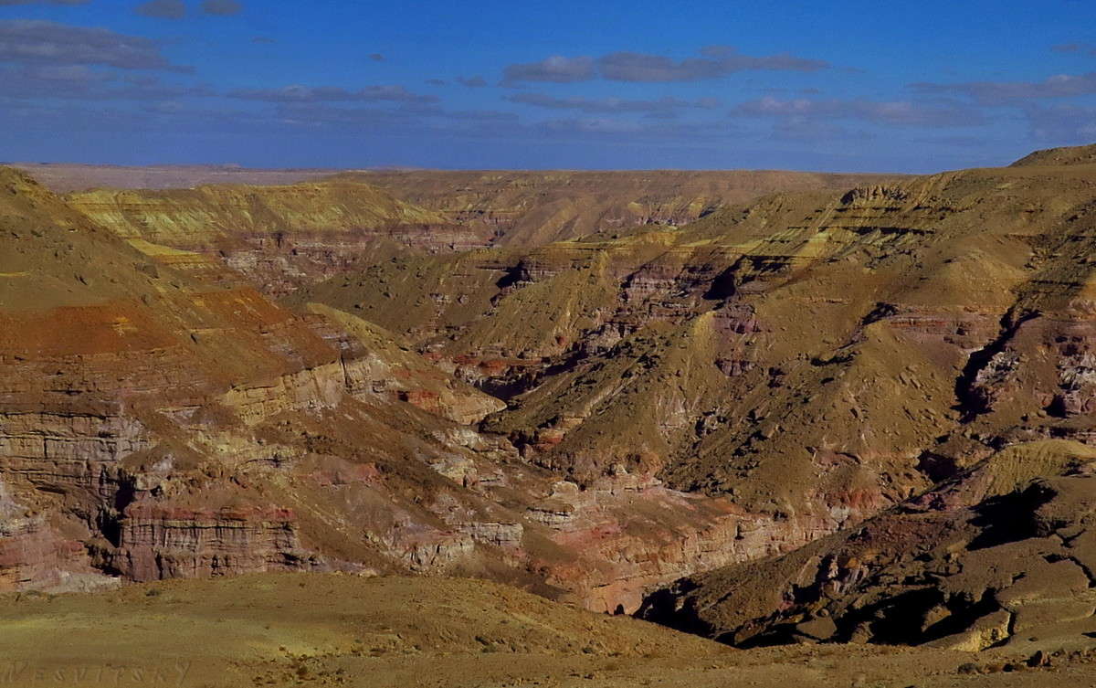 ������ ��� ����. ������, ����� ����� Eva  �� PhotoGeek.ru #������ ��� ������� #��� ����