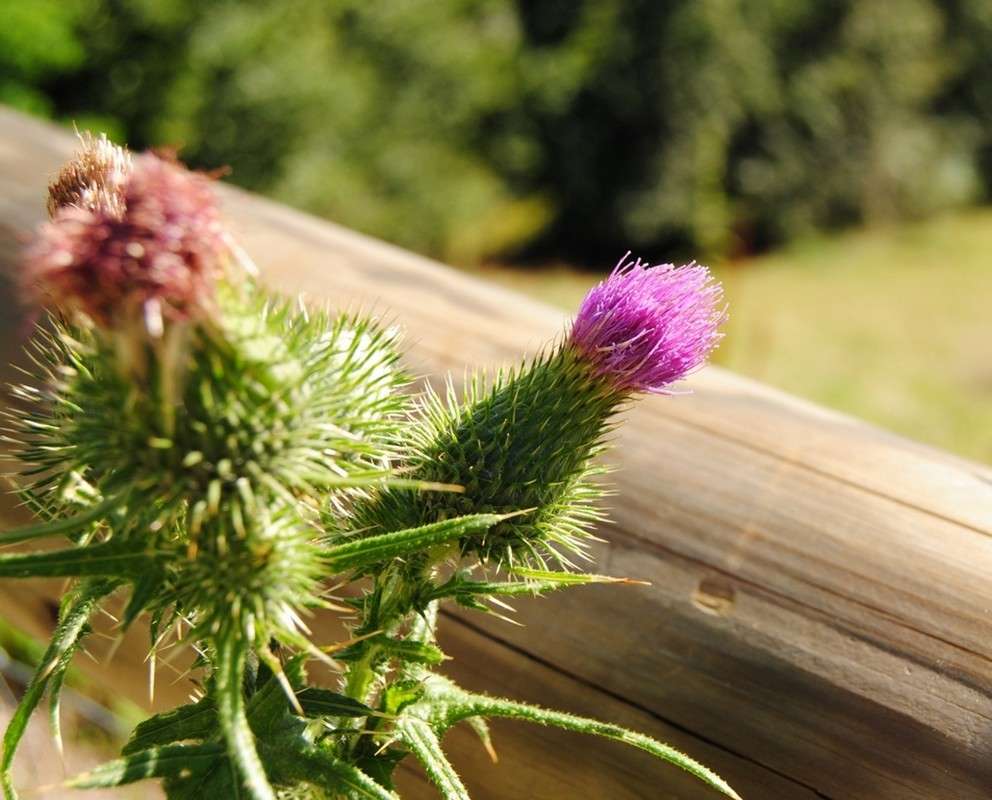 ... ����� ������ ����� �� PhotoGeek.ru #������� #������� #�����