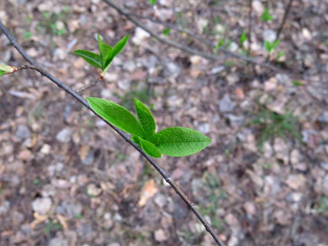 ... ����� ���� ������� �� PhotoGeek.ru #������ ��� �������