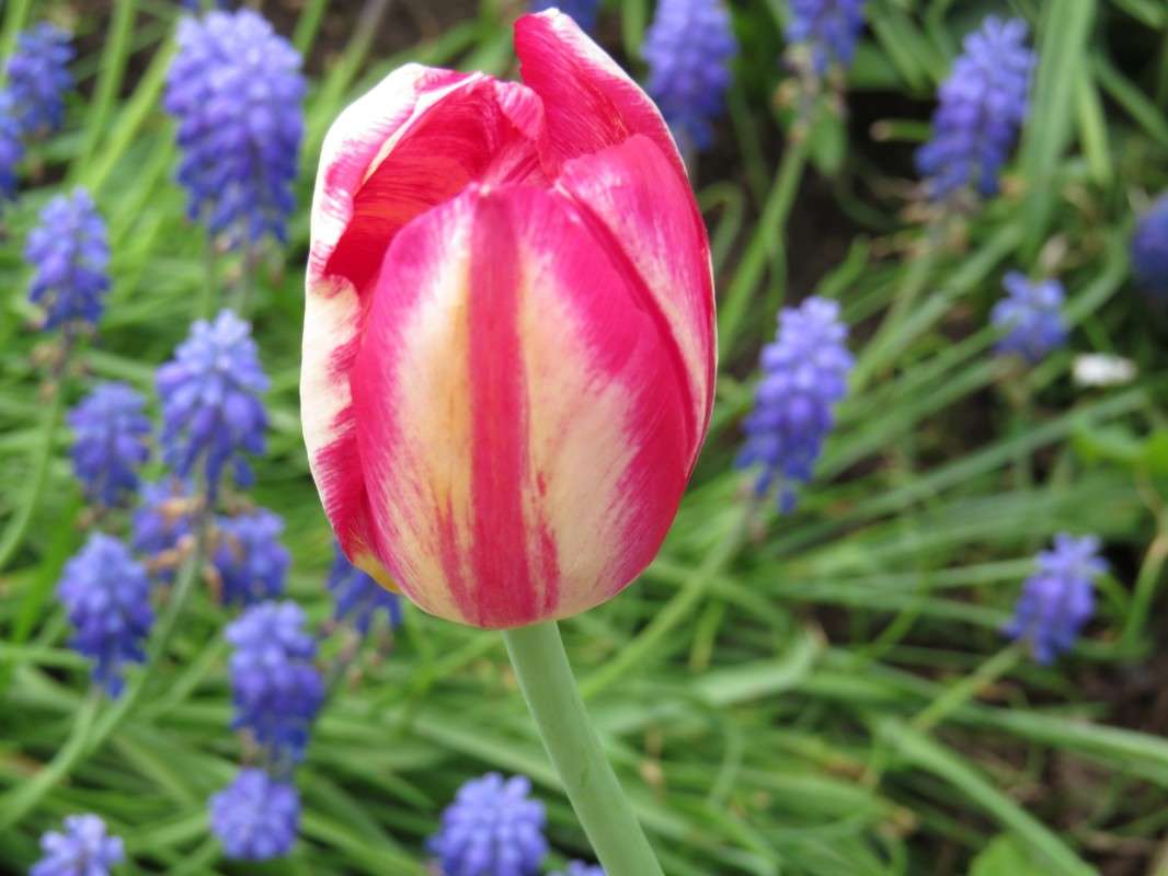 ... ����� ���� ������� �� PhotoGeek.ru #������ ��� �������