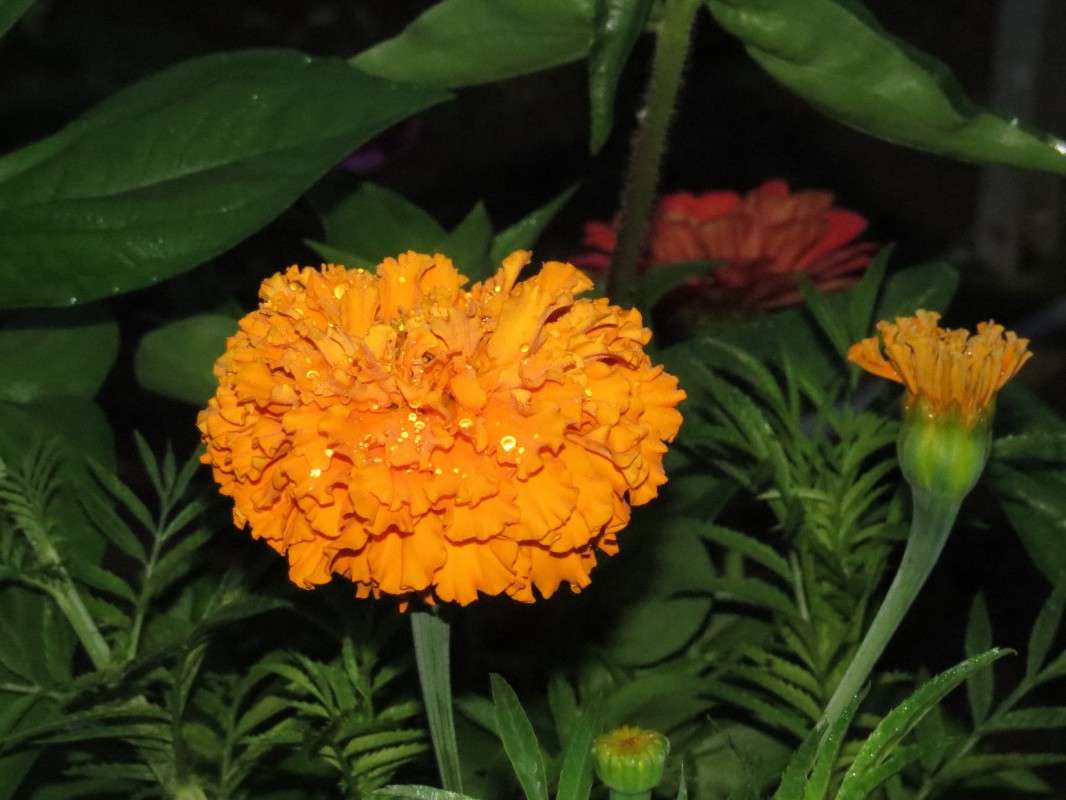 ... ����� ���� ������� �� PhotoGeek.ru #������ ��� �������