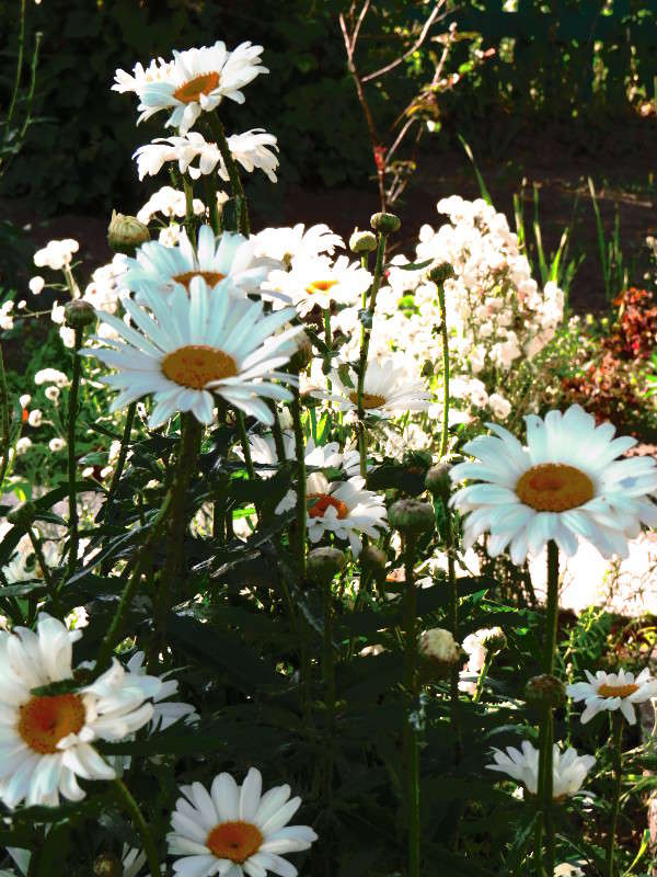 ... ����� ���� ������� �� PhotoGeek.ru #������ ��� �������