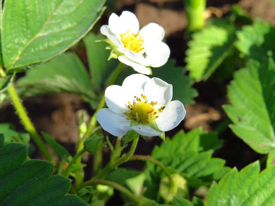 ... ����� ���� ������� �� PhotoGeek.ru #������ ��� �������