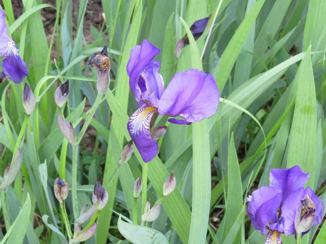 ... ����� ���� ������� �� PhotoGeek.ru #������ ��� �������