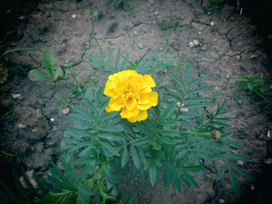 ... ����� ���� ������� �� PhotoGeek.ru #������ ��� �������