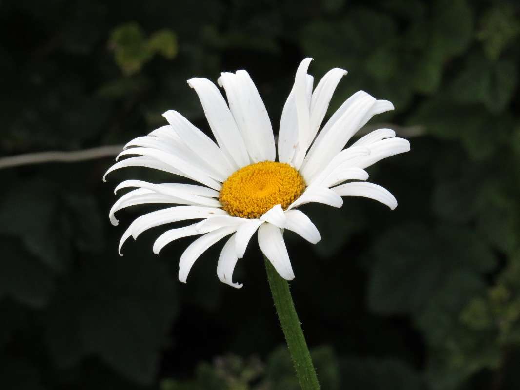 ... ����� ���� ������� �� PhotoGeek.ru #����� #������ ��� ������� #����� ��������������