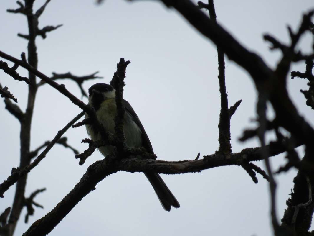 ... ����� ���� ������� �� PhotoGeek.ru #�������� ���