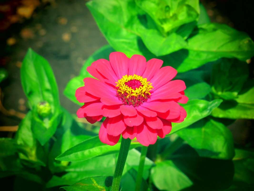 ... ����� ���� ������� �� PhotoGeek.ru #����� #������ ��� ������� #����� ��������������