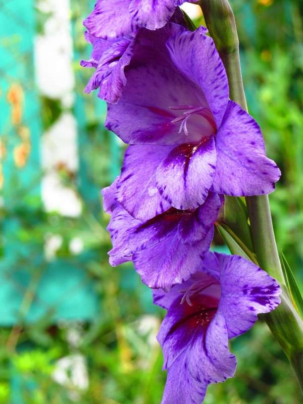 ... ����� ���� ������� �� PhotoGeek.ru #������ ��� ������� #����� ��������������