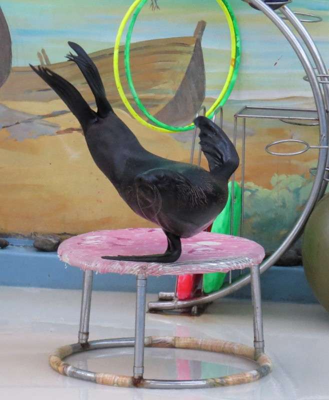 ... ����� ���� ������� �� PhotoGeek.ru #�������� ���