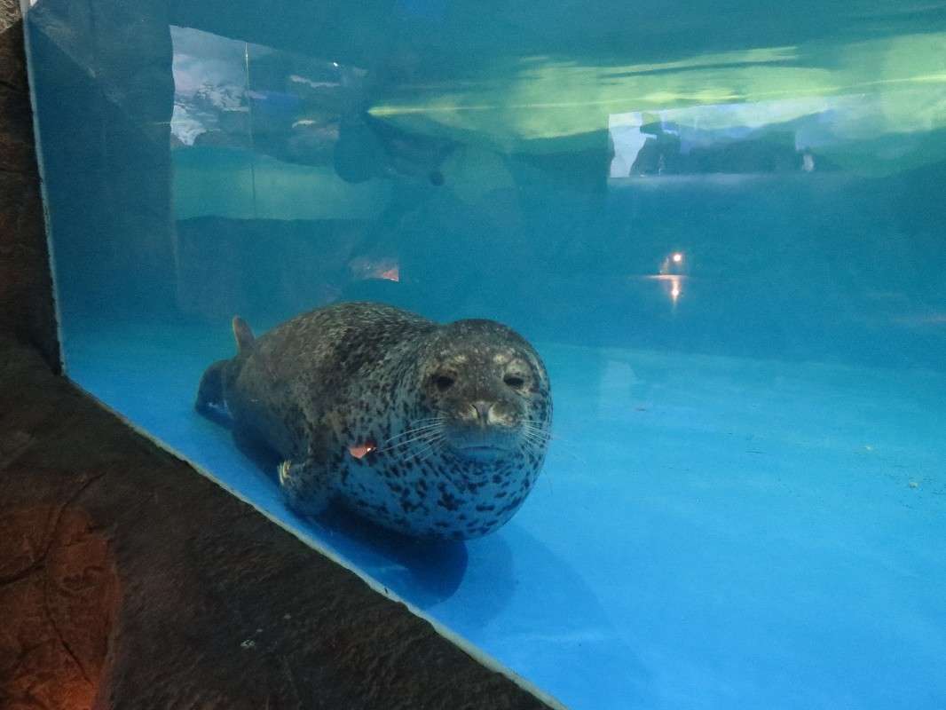 ... ����� ���� ������� �� PhotoGeek.ru #�������� ���