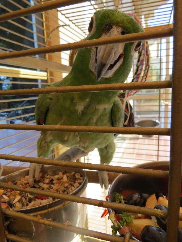 ... ����� ���� ������� �� PhotoGeek.ru #�������� ���