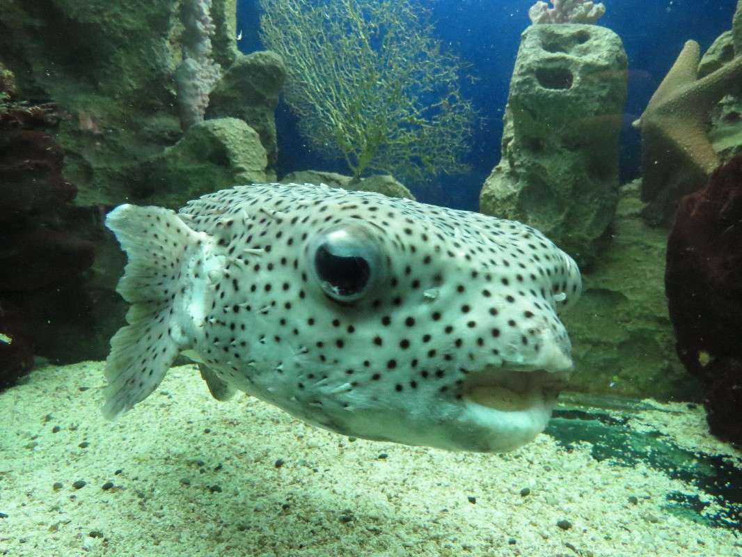 ... ����� ���� ������� �� PhotoGeek.ru #�������� ���