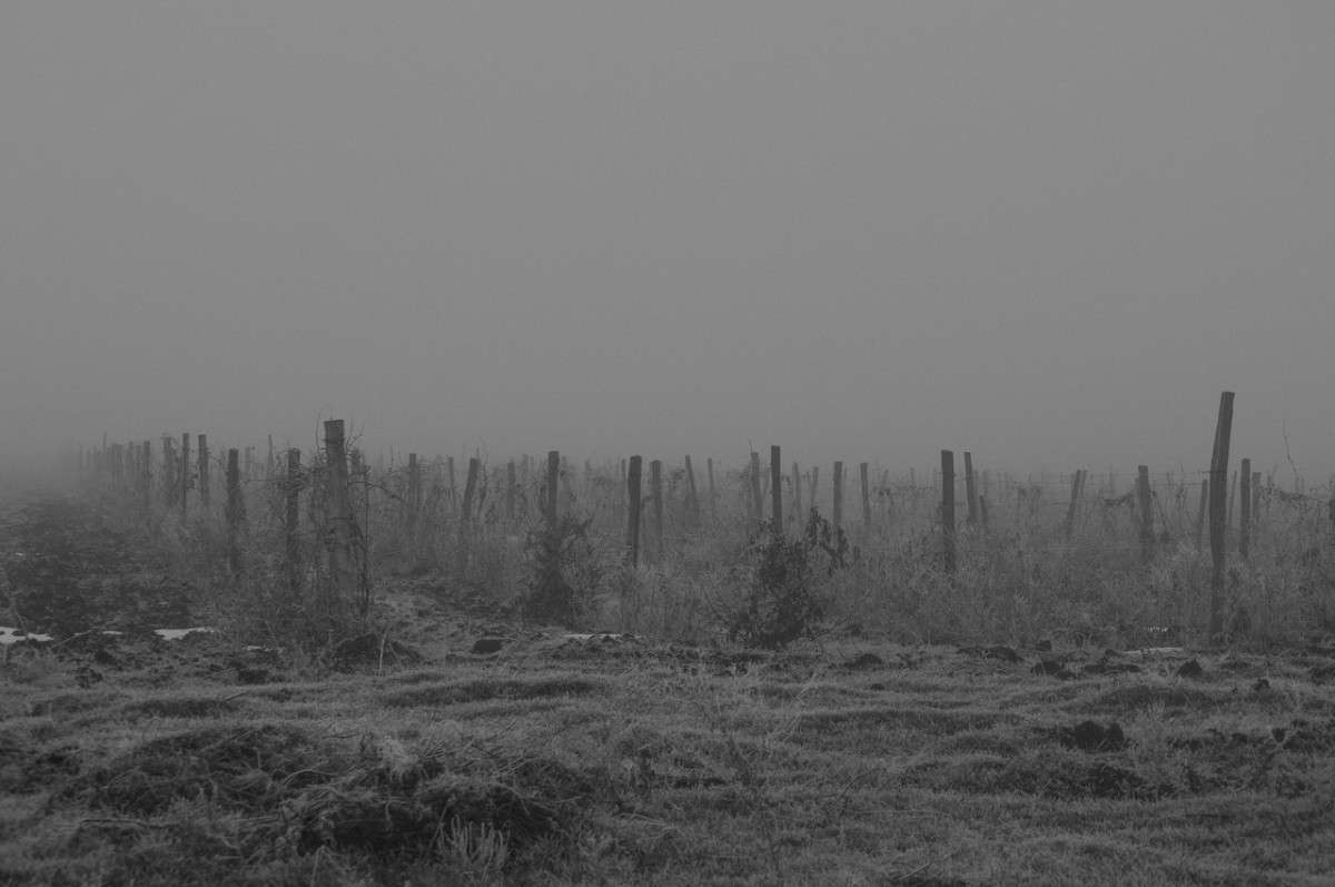 ������������ � ������. ����� ���� ��������� �� PhotoGeek.ru #������ ��� ������� #�����-�����