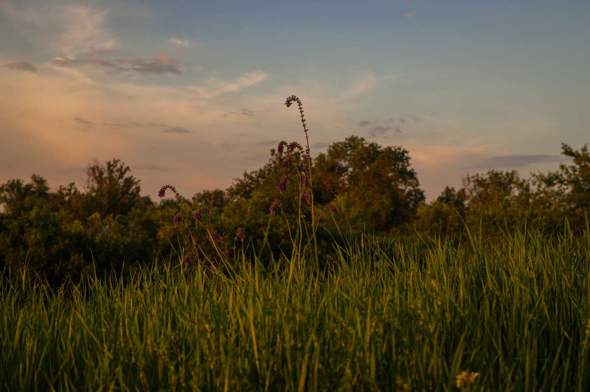 ... ����� ���� ��������� �� PhotoGeek.ru #������ ��� ������� #����� ��������������