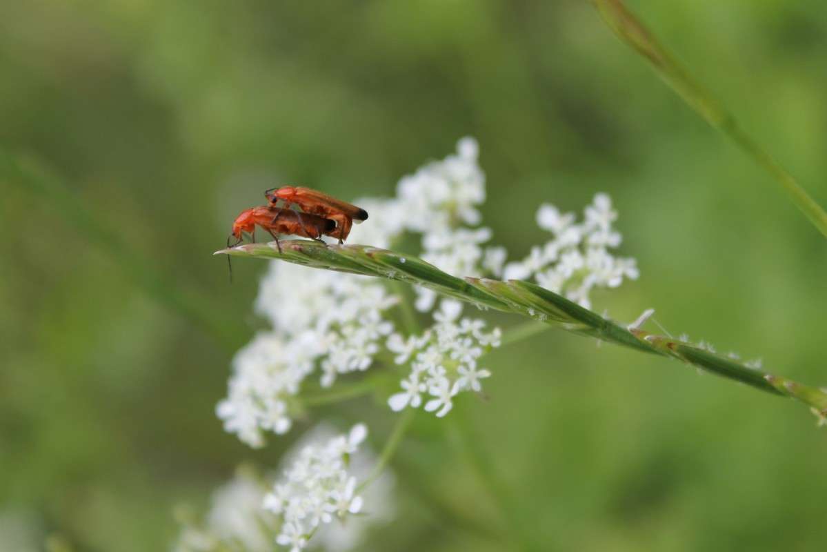 ��������� ������ ����� ����� ���������� �� PhotoGeek.ru #�����