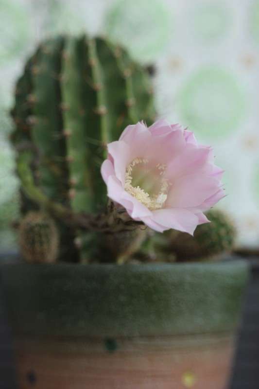 ... ����� ����� ���������� �� PhotoGeek.ru #�����