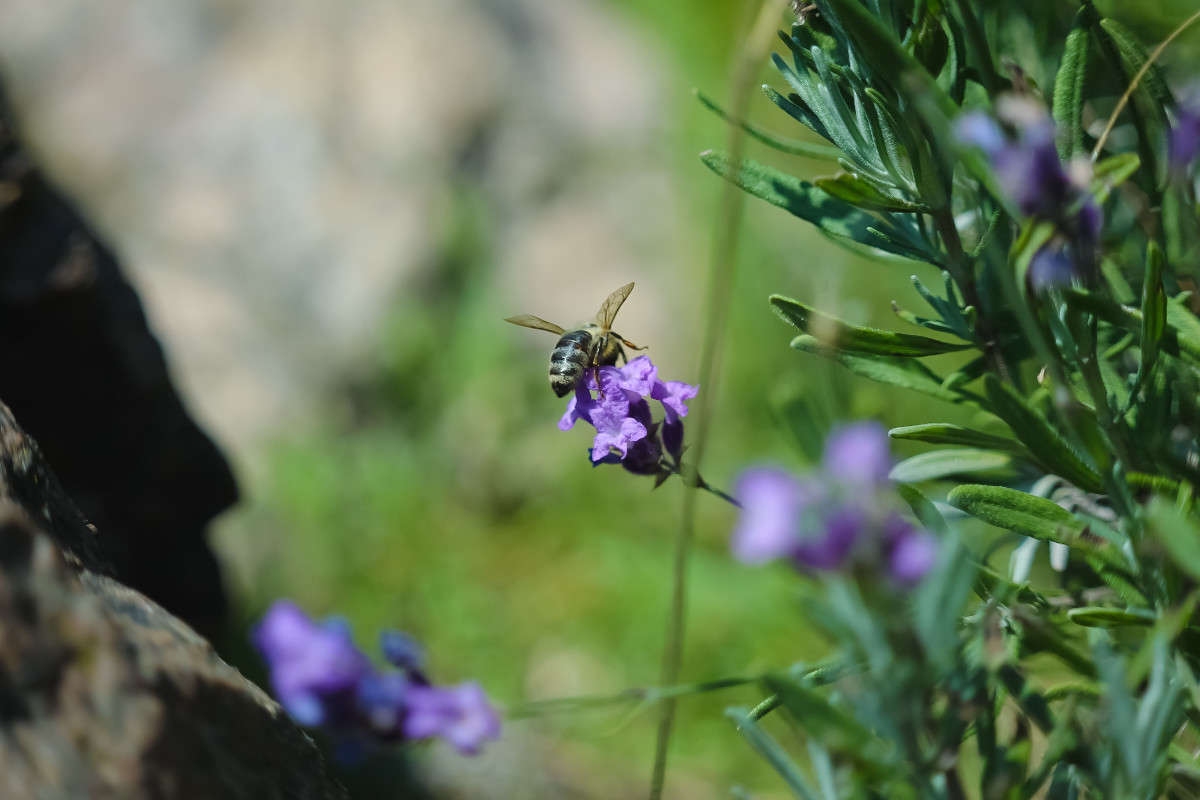 ��� ����� ����� ���������� �� PhotoGeek.ru #�����