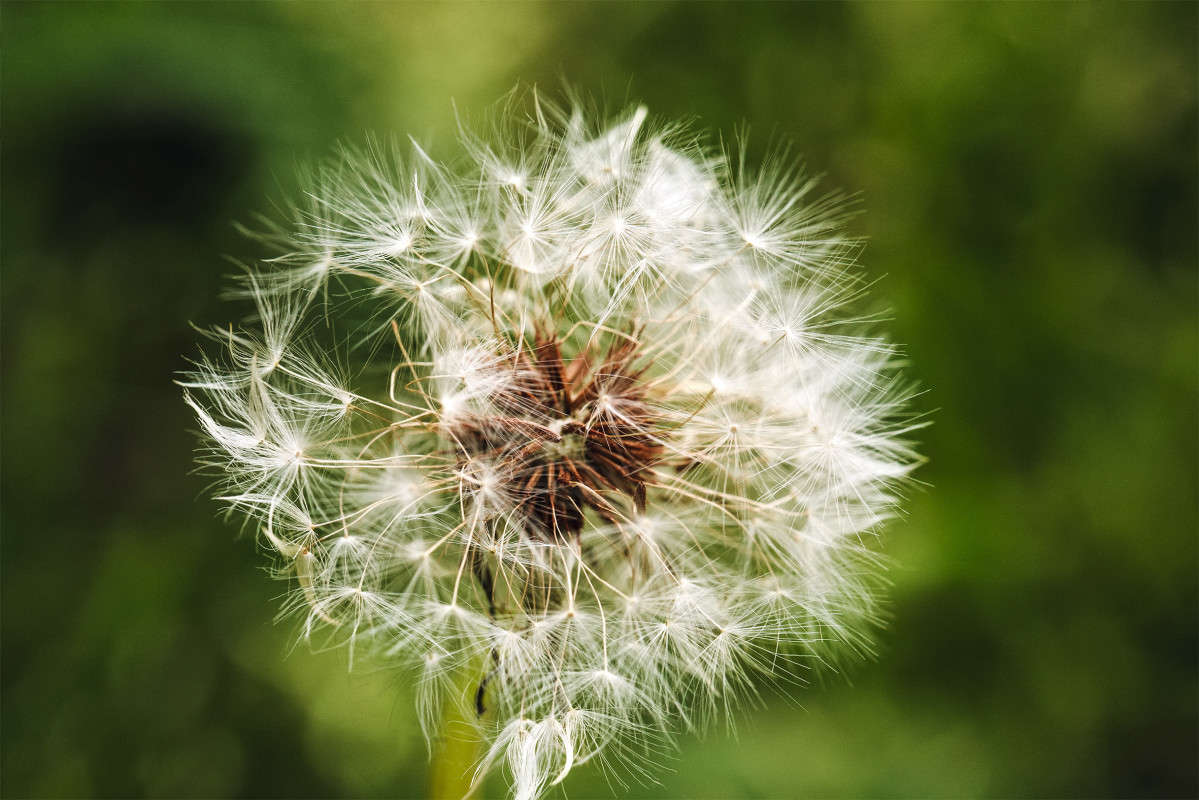 ... ����� Anton Anisimov �� PhotoGeek.ru #�����