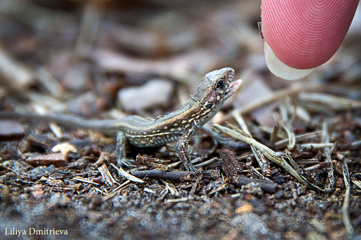  ����� ����� ��������� �� PhotoGeek.ru