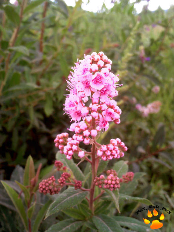 �������� ����� ����� �������� �� PhotoGeek.ru #������ ��� ������� #����� ��������������