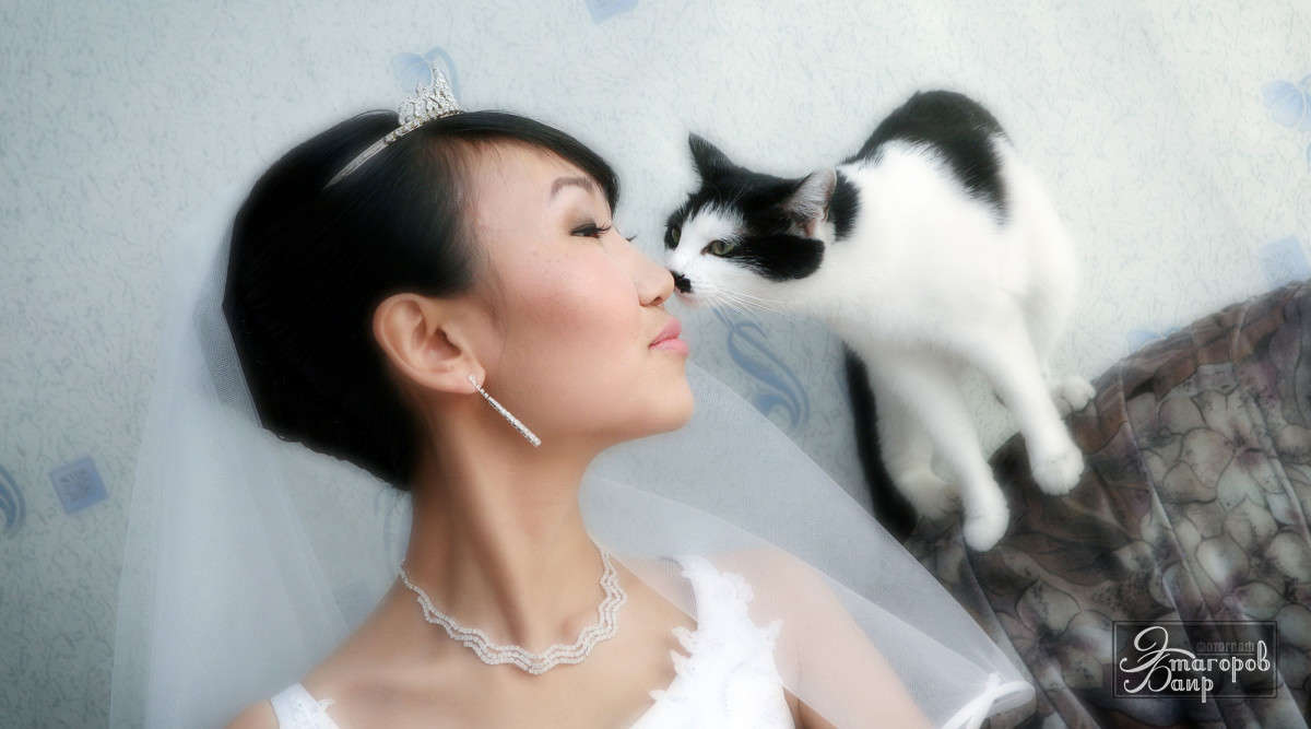 Благословление автор Баир Этагоров на PhotoGeek.ru #Свадебная фотография #Животный мир
