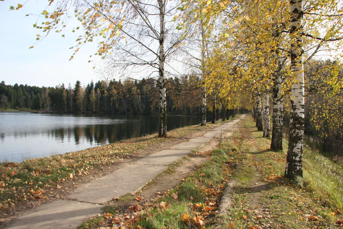 Лесное озеро Сергиев Посад